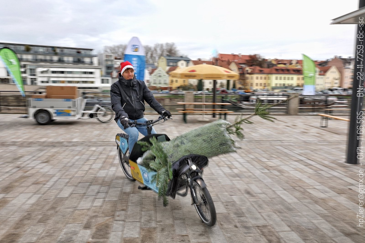 Person transportiert mit Lastenfahrrad den Bio-Baum zu den Kunden nachhause.