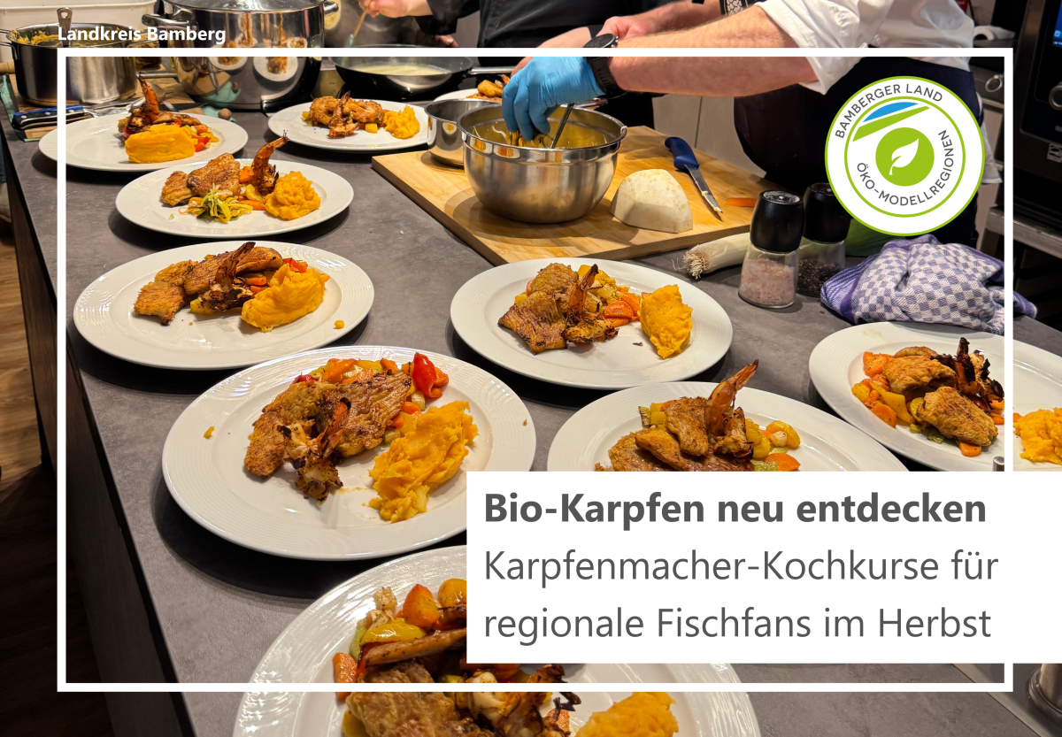 Teller mit Fischgericht