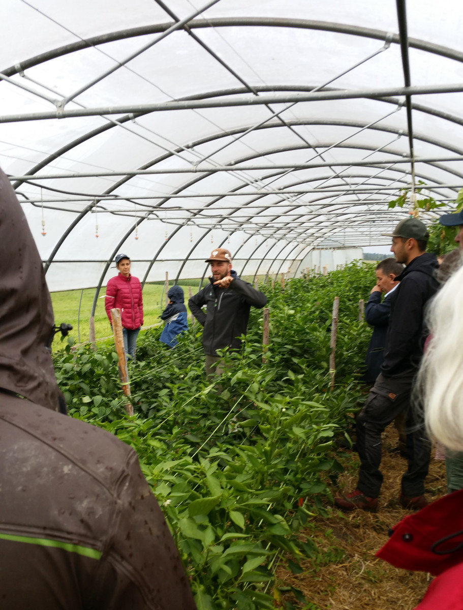 Auf viel Interesse stieß der Austausch der Bio-Gemüsebaubetriebe bei der Exkursion zum Bio-Michi in Kirchanschöring. Er gab u.a. Tipps zum Aufbau der Bodenfruchtbarkeit und zur Förderung des Bodenlebens – „das A und O im Biolandbau“, wie er meinte.