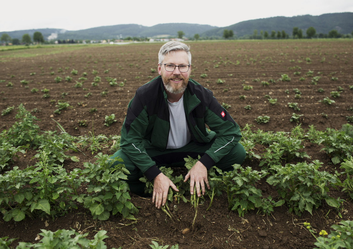 Bio-Bauer Johannes Heitzer auf seinem Kartoffelfeld im Landkreis Regensburg
