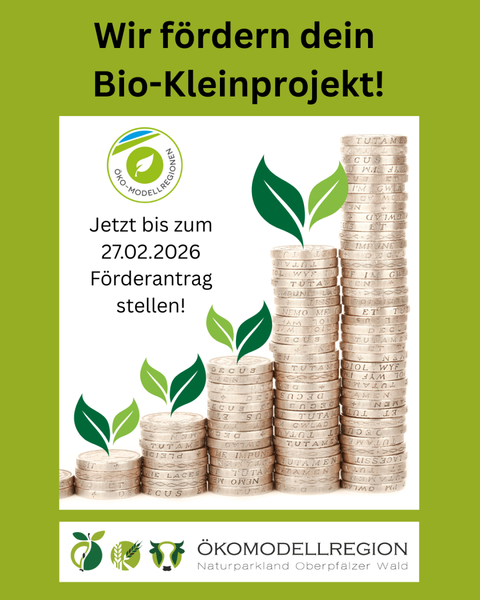 Förderaufruf Öko-Verfügungsrahmen 2026 ÖMR NOW