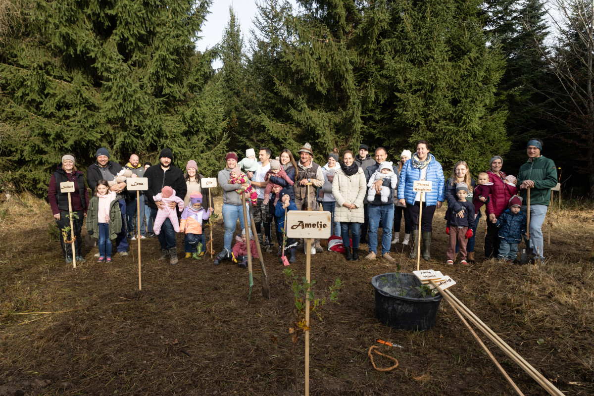 Taufbäume Gemeinde Heldenstein