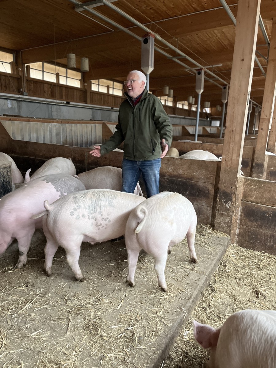 Mann im Schweinestall, gestikulierend