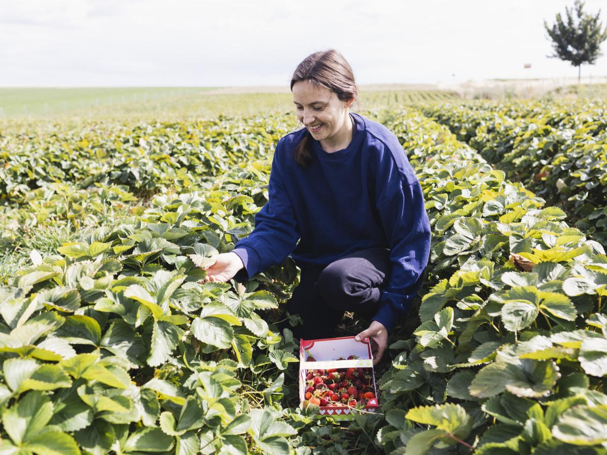stadt.land.wü., Landkreis Würzburg, Stadt Würzburg