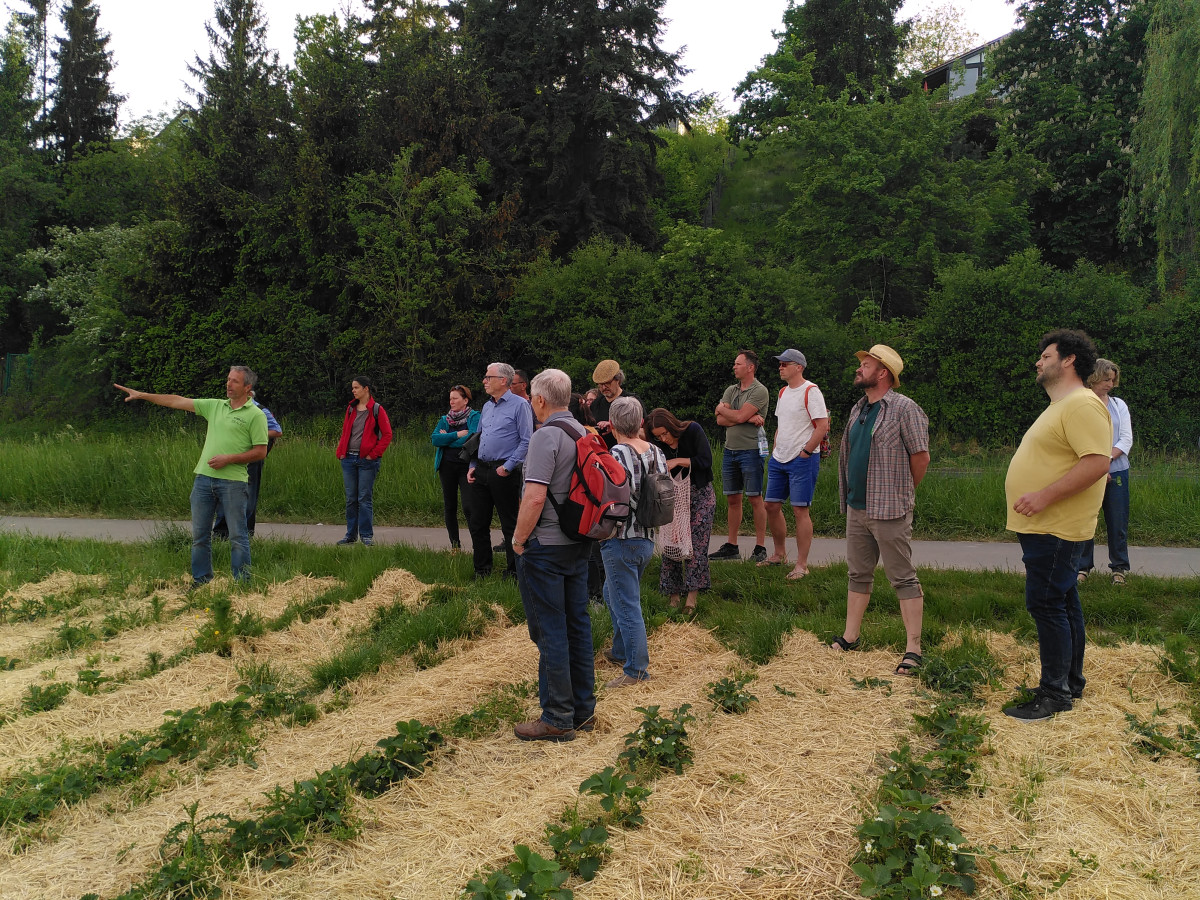 Landwirt mit erklärenden Gesten vor einem Publikum auf dem Erdbeerfeld
