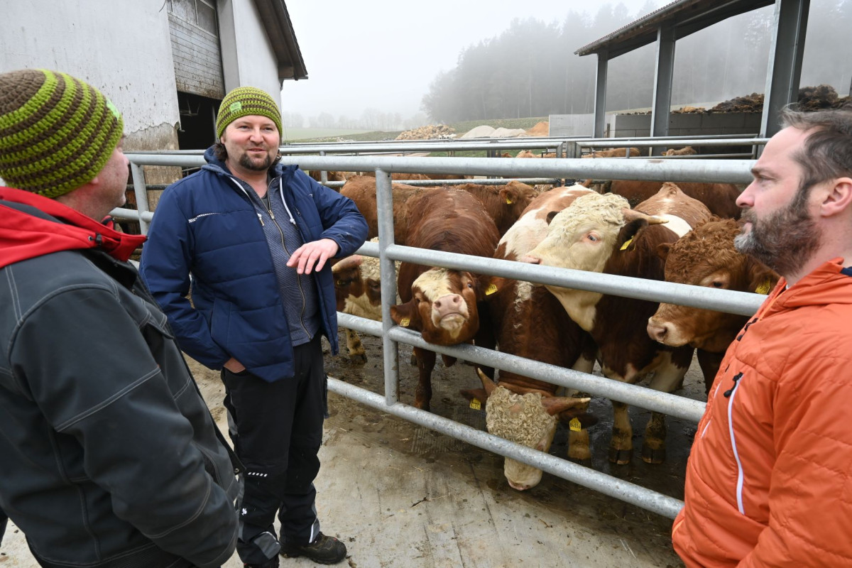 Bio-Landwirt Günther Böhm zeigt Kollege Max Berghammer und Ökolandbau-Berater Herbert Wendl vom AELF seine Tiere.