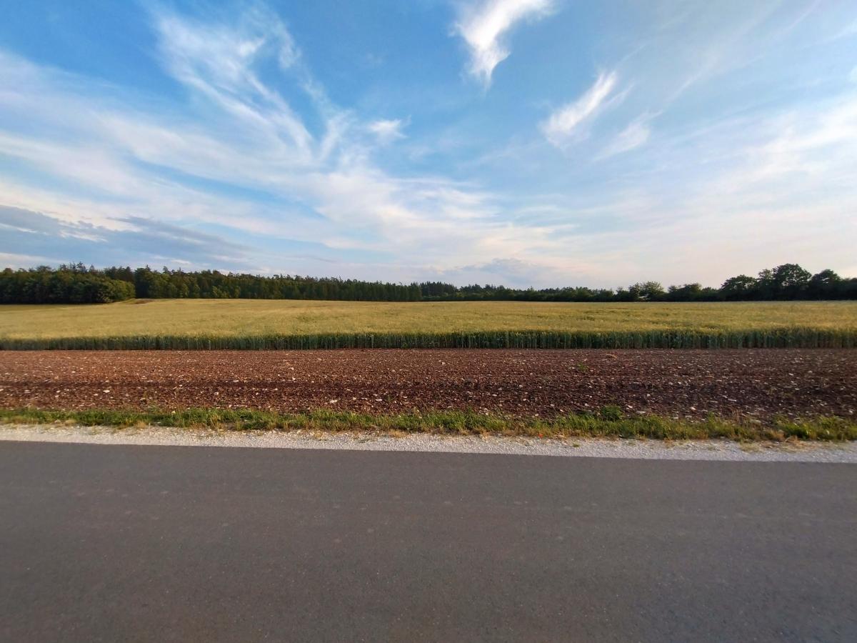 Landschaft mit Acker, Getreidefeld und Wald, sowie Himmel mit Wolken