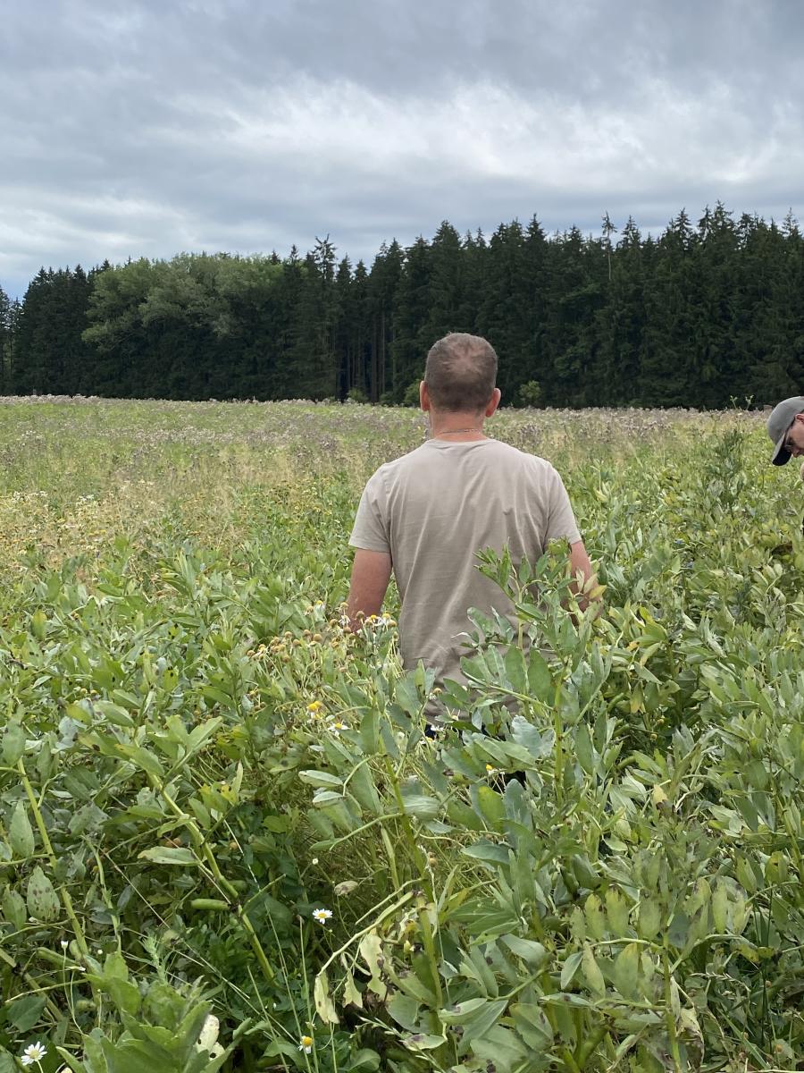 Fortschritte in der Pflanzenzüchtung sind wichtig. Eine unkontrollierte Freigabe Neuer genomischer Techniken ins Freiland kann auch herkömmliche mittelständische Züchter in Bedrängnis bringen
