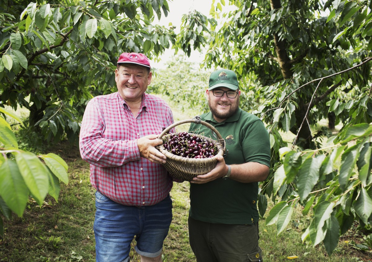 Willibald Schmidt mit Sohn Jochen im Kirschgarten