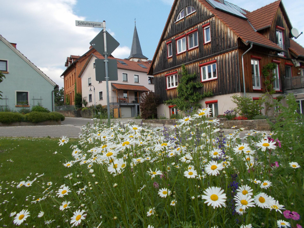 Blühstreifen Dorfplatz Rödles