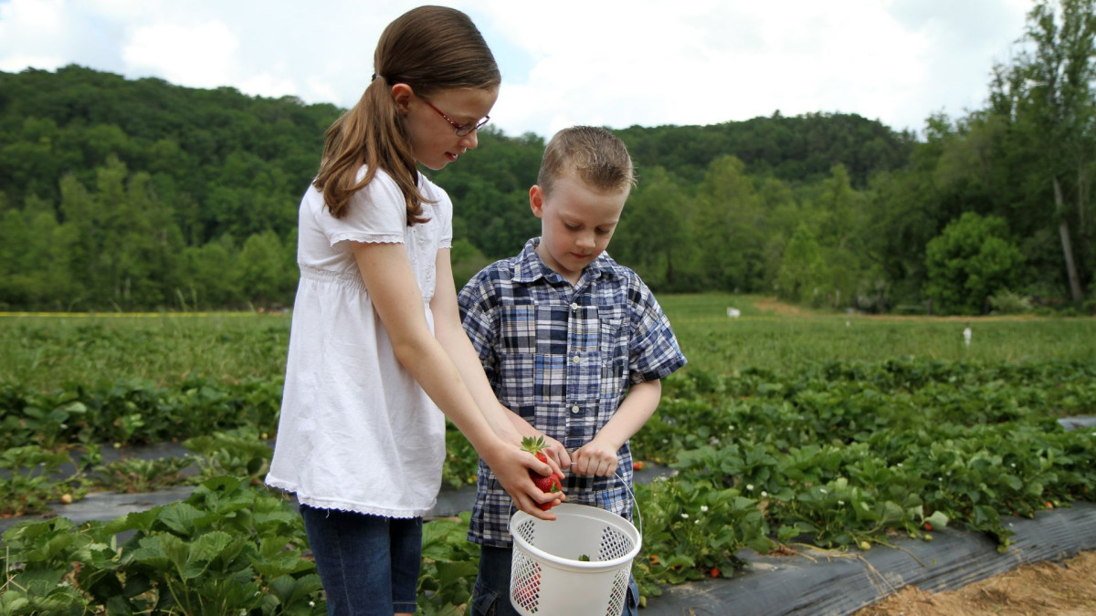 Kinder auf dem Feld