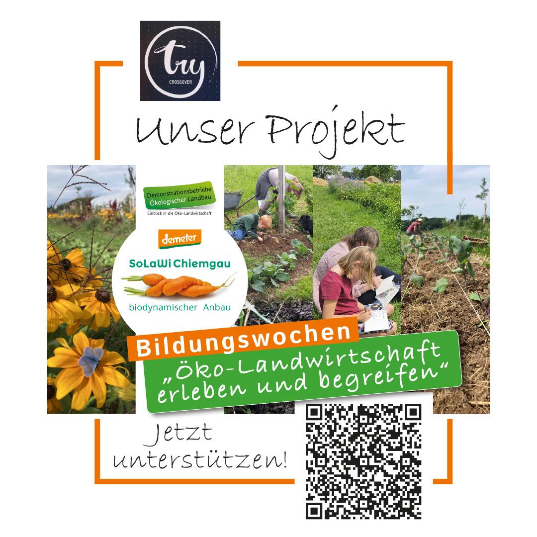 bildungswochen_2026_spende_jetzt