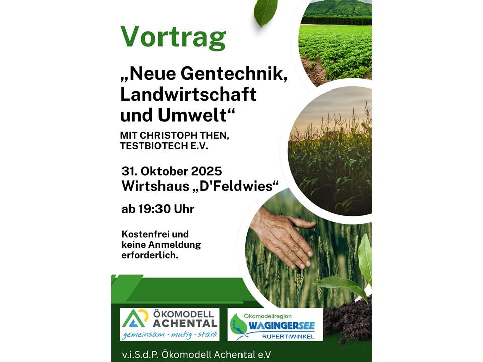 Plakat mit der Vortragswerbung mit Feldern und Text.