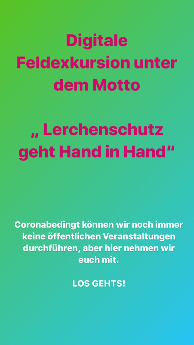 Digitale Feldexkursion: Lerchenschutz Hand in Hand