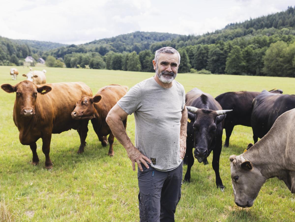 Klaus Rothenbücher in mitten seiner Mutterkuhherde