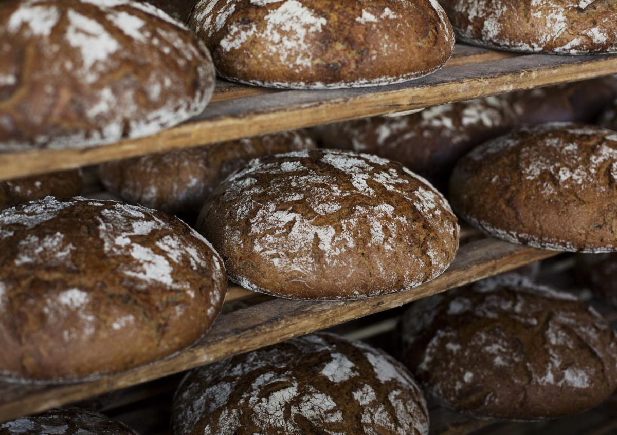 Bio-Brot