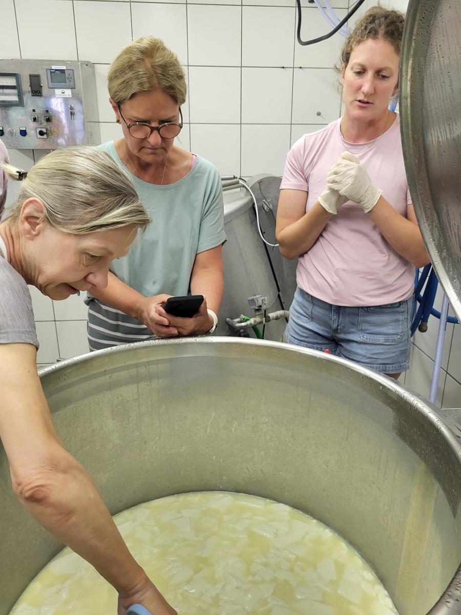 Die Bäuerin Christina Frangen leitet in ihrer Hofkäserei des Paulbauernhofs die Teilnehmerinnen zur Herstellung von Weichkäse an.