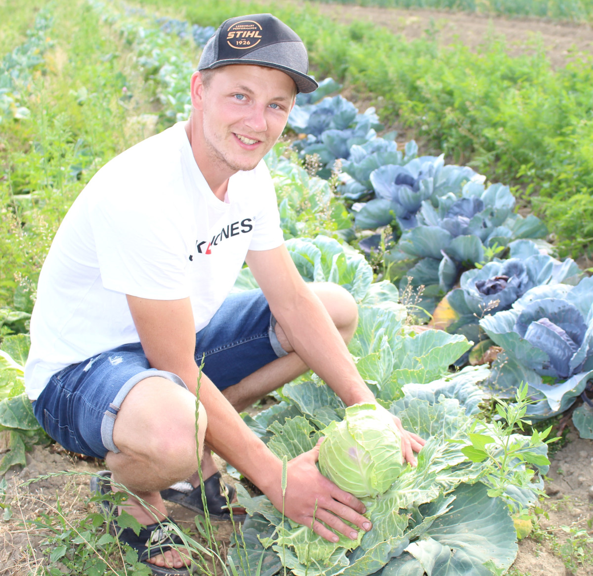 Markus Hager mit einem Weißkohlkopf in Händen.