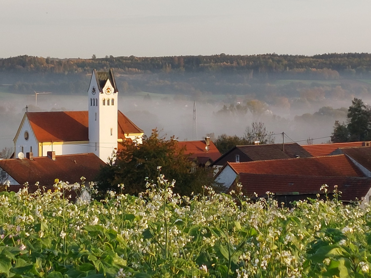 Ausblick nach Kirchdorf