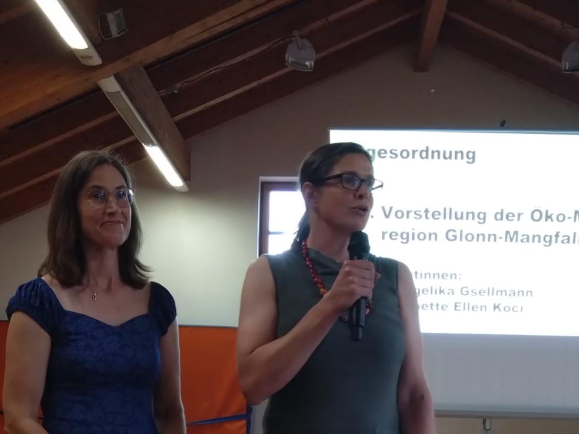 Die Öko-Modellregionsmanagerinnen beim Vortrag