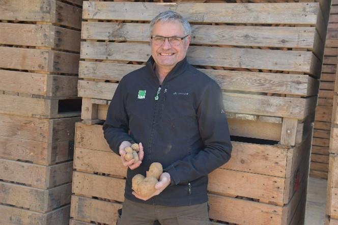 Ein Mann vor Holzkisten mit Kartoffeln in der Hand