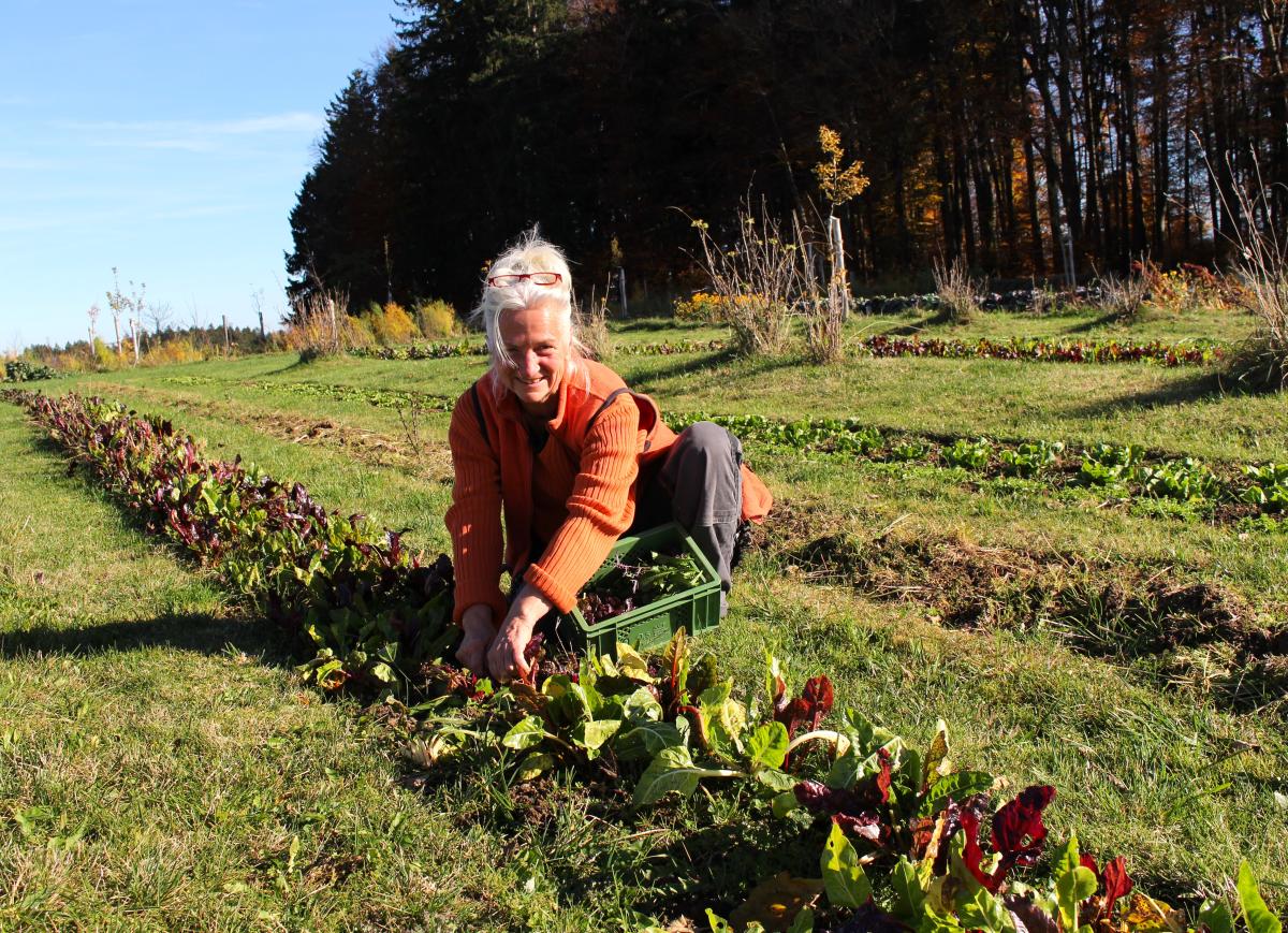 Kristine Rühl beim Arbeiten auf dem Acker