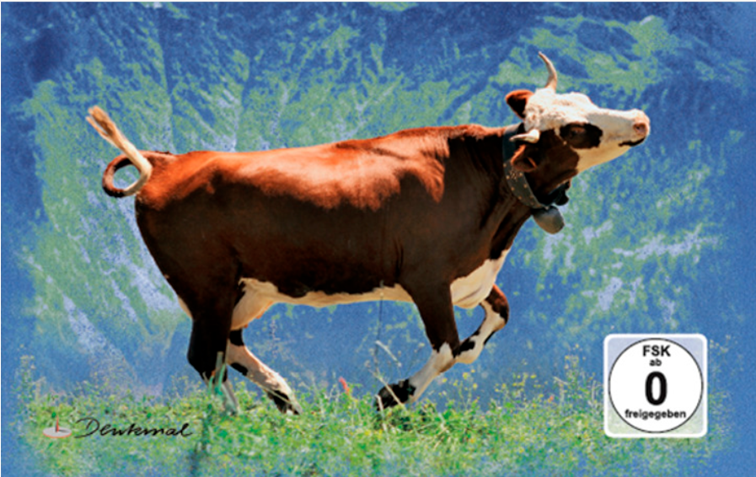 Kuh läuft auf der Weide