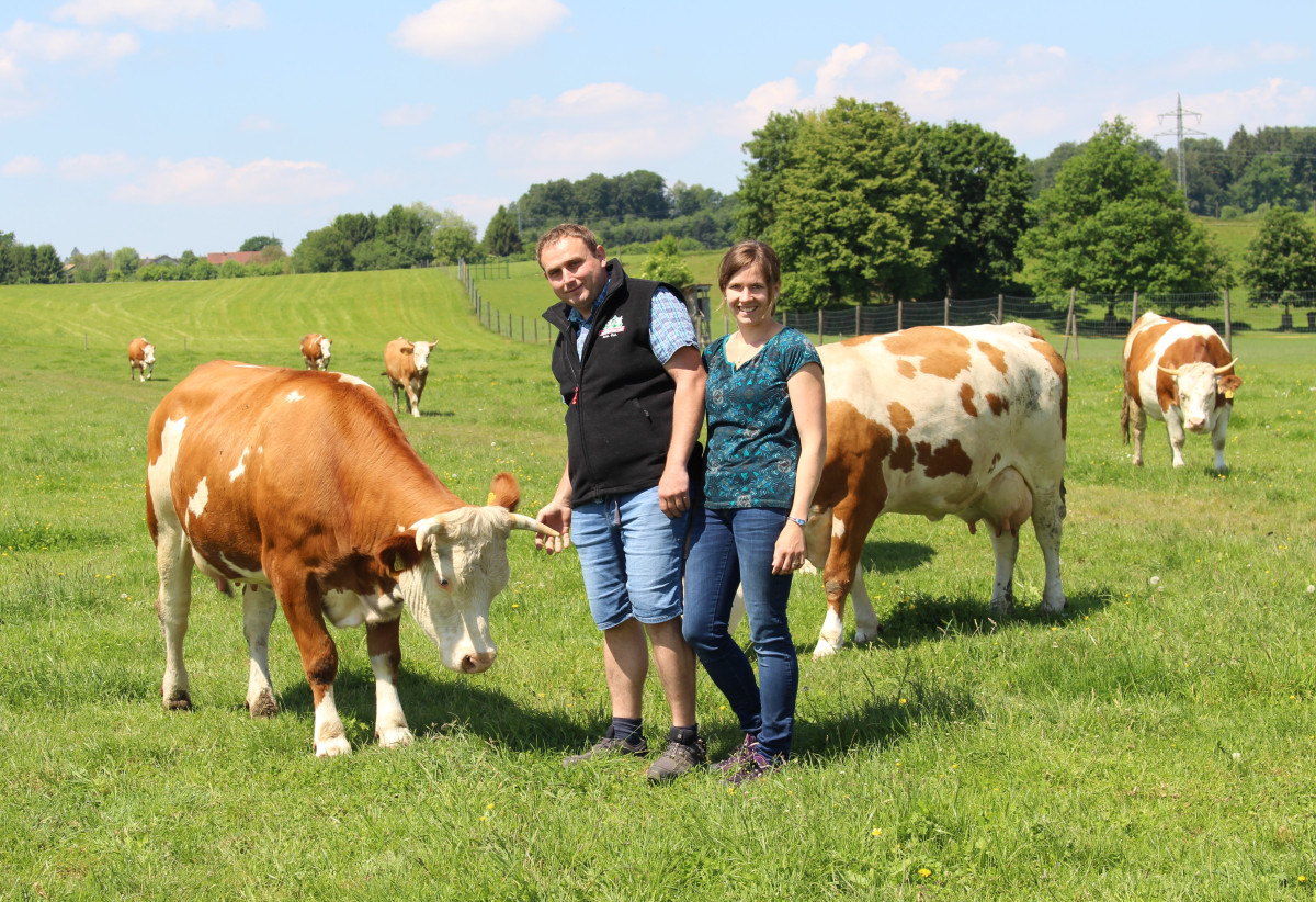 Bei Blasius und Lisa Standl aus Großgerstetten dürfen die Kühe ihrer Hörner behalten. Sie haben 2017 mit der Umstellung begonnen und sind seit November 2019 zertifizierter Bio-Milchbetrieb.