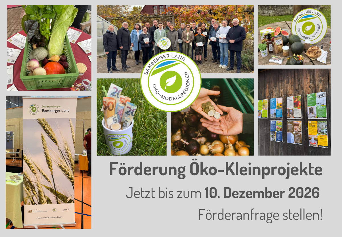 Collage verschiedener Kleinprojekte