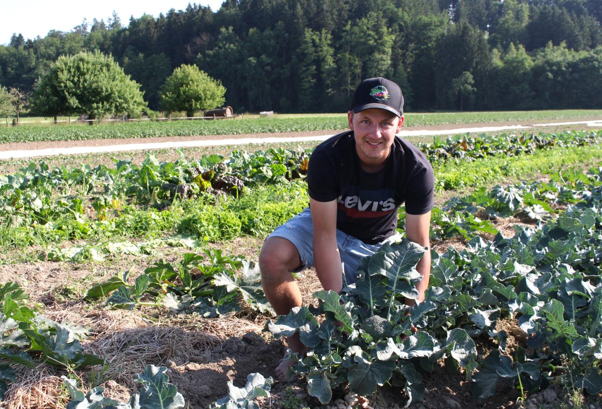 Markus Hager auf einem Gemüsefeld.
