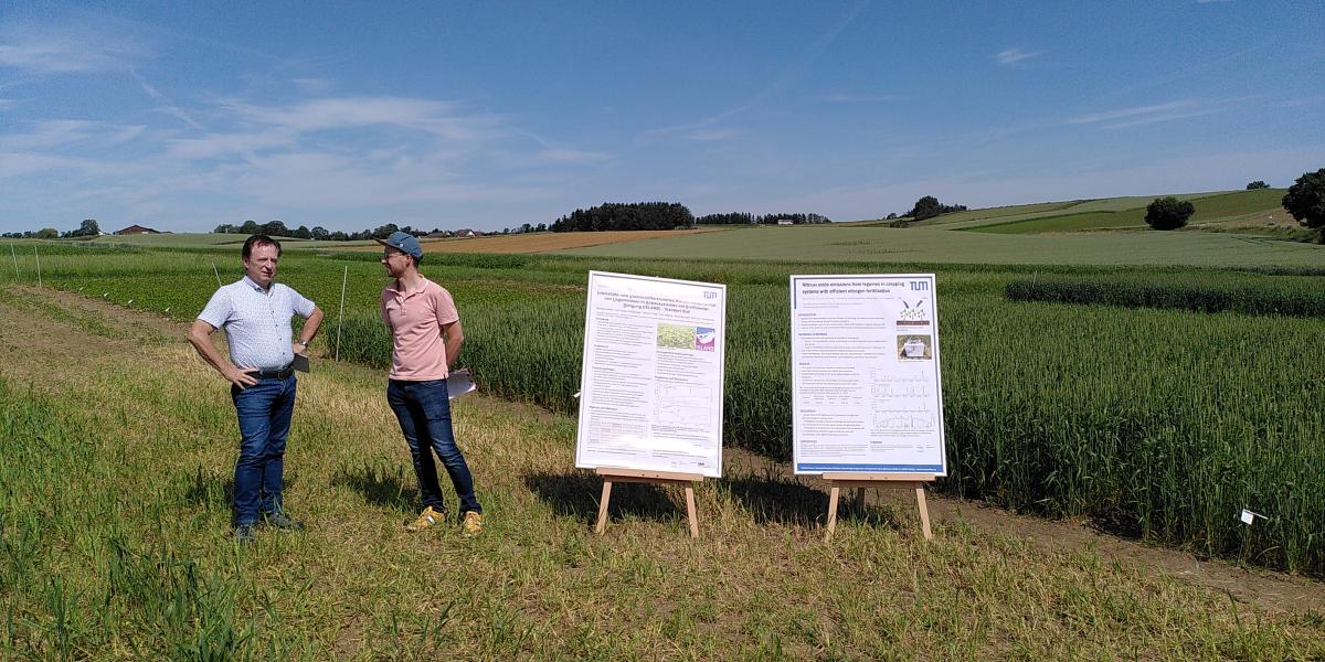 240618 Auf den Versuchsfeldern des Lehrstuhls für ÖkologischenLandbau der TUM