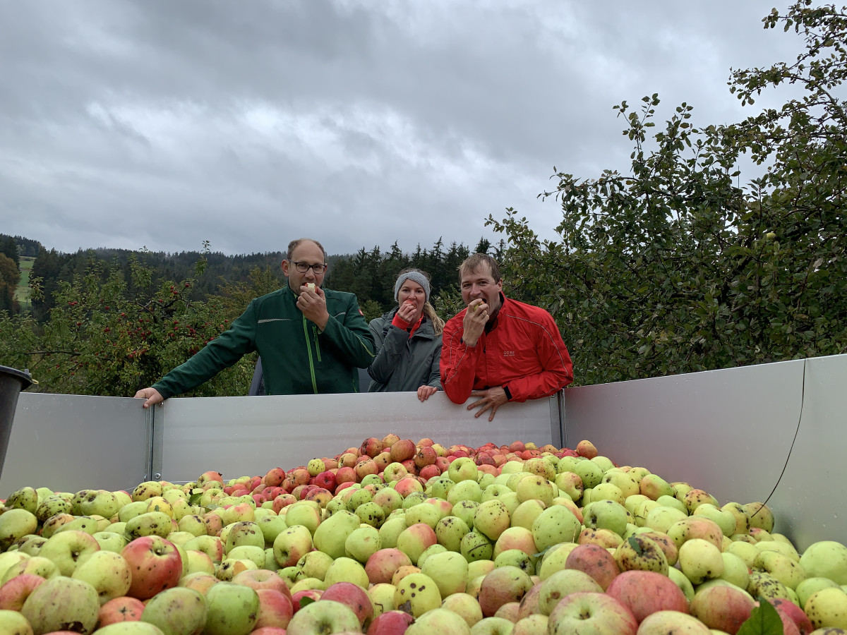 Streuobstsammelaktion Tännesberg