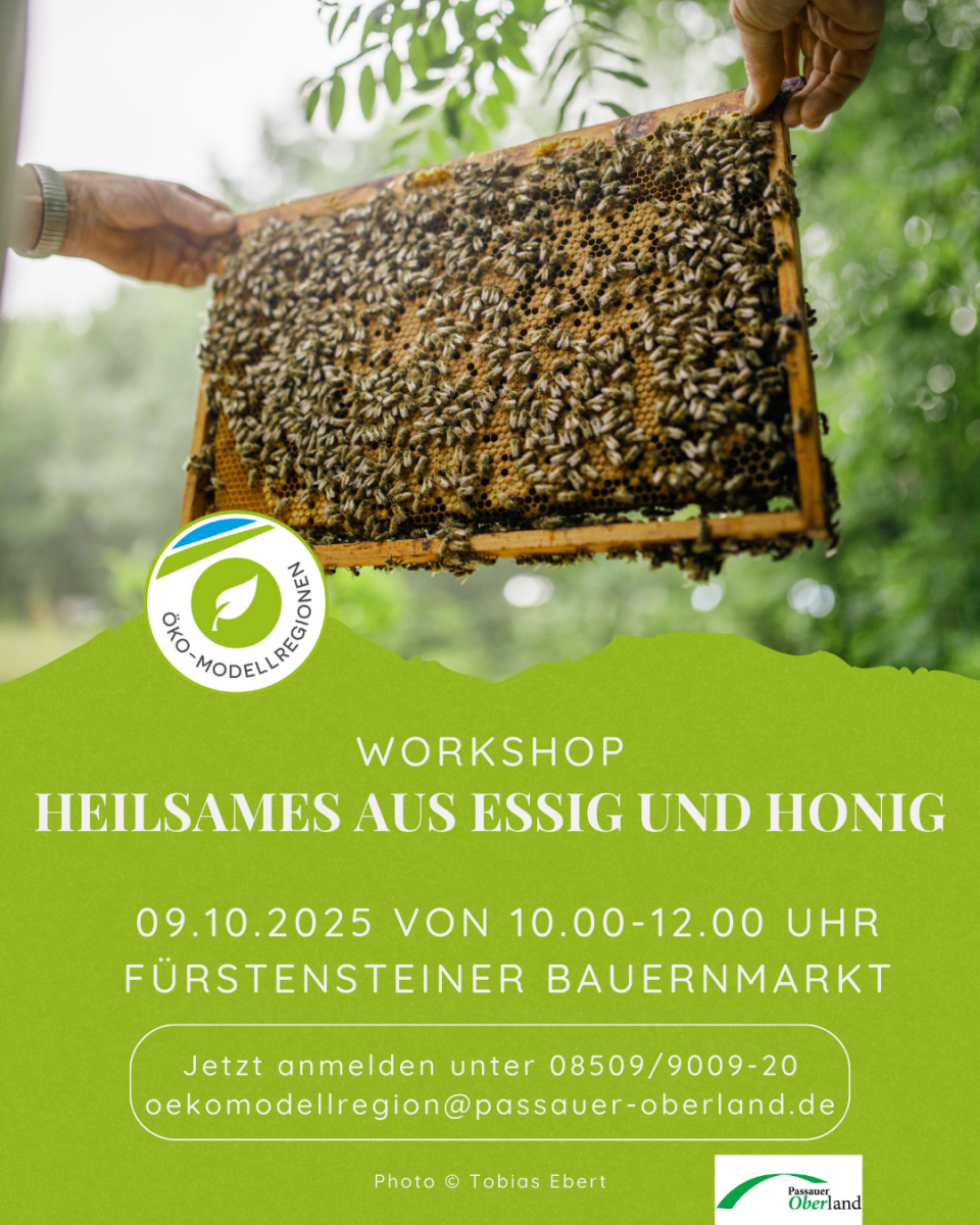 Workshop Heilsames aus Essig und Honig