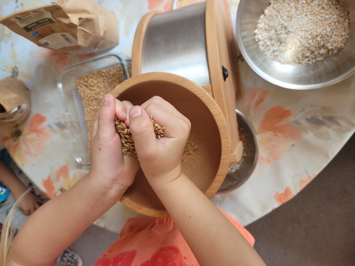 Kinderhände befüllen eine Getreidequetsche