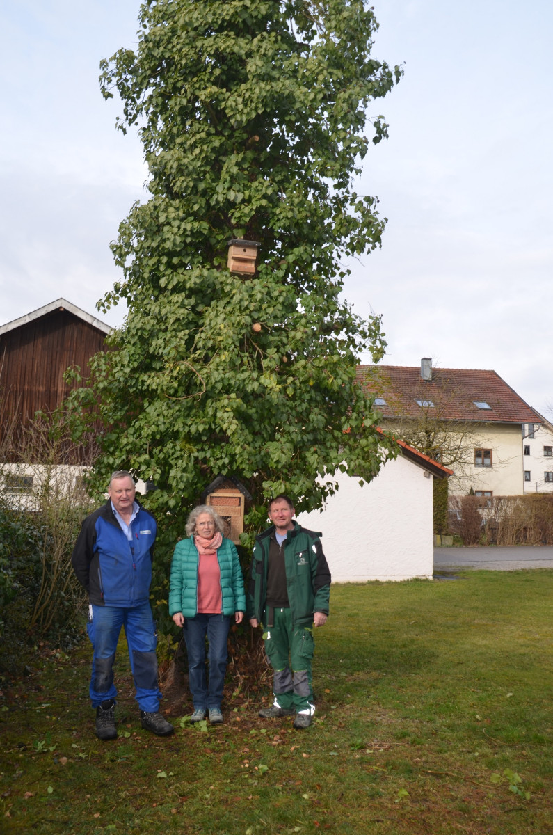 August Obermeier (links), Ingrid Schubert (LBV) und Martin Thalmeier (zweiter Bürgermeister Schwindegg) vor dem Biotop-Baum