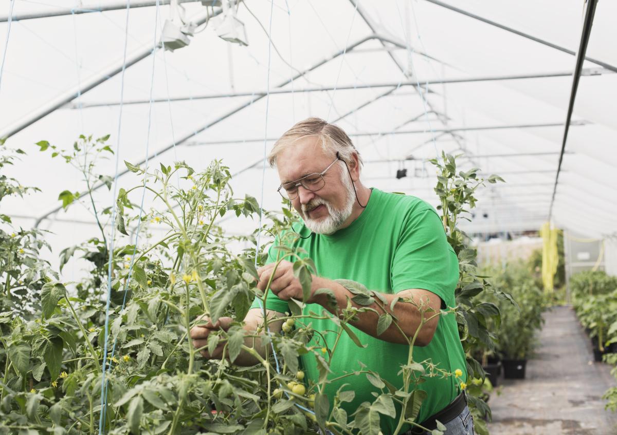 Gärtner ist mit seinen Pflanzen zu sehen.