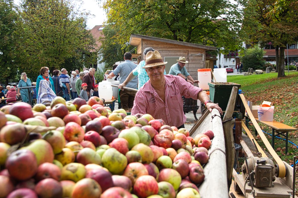 Viele Äpfel im Vordergrund, lachender Mann im Hintergrund