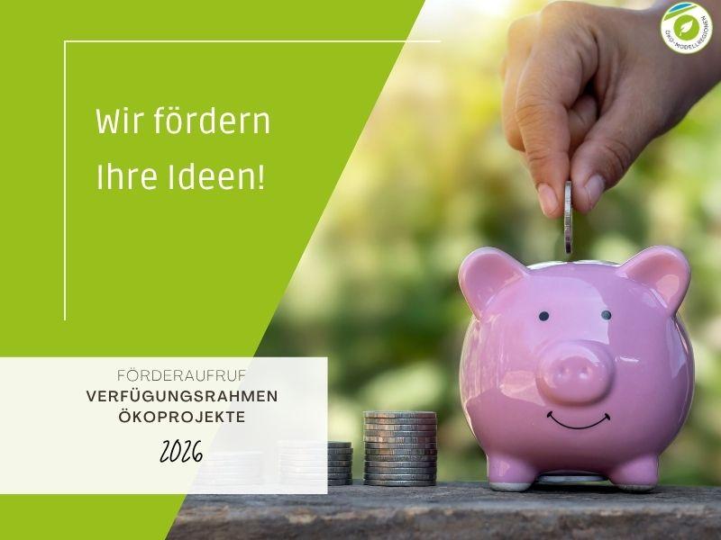 Aufruf zum Verfügungsrahmen für Öko-Projekte 2026