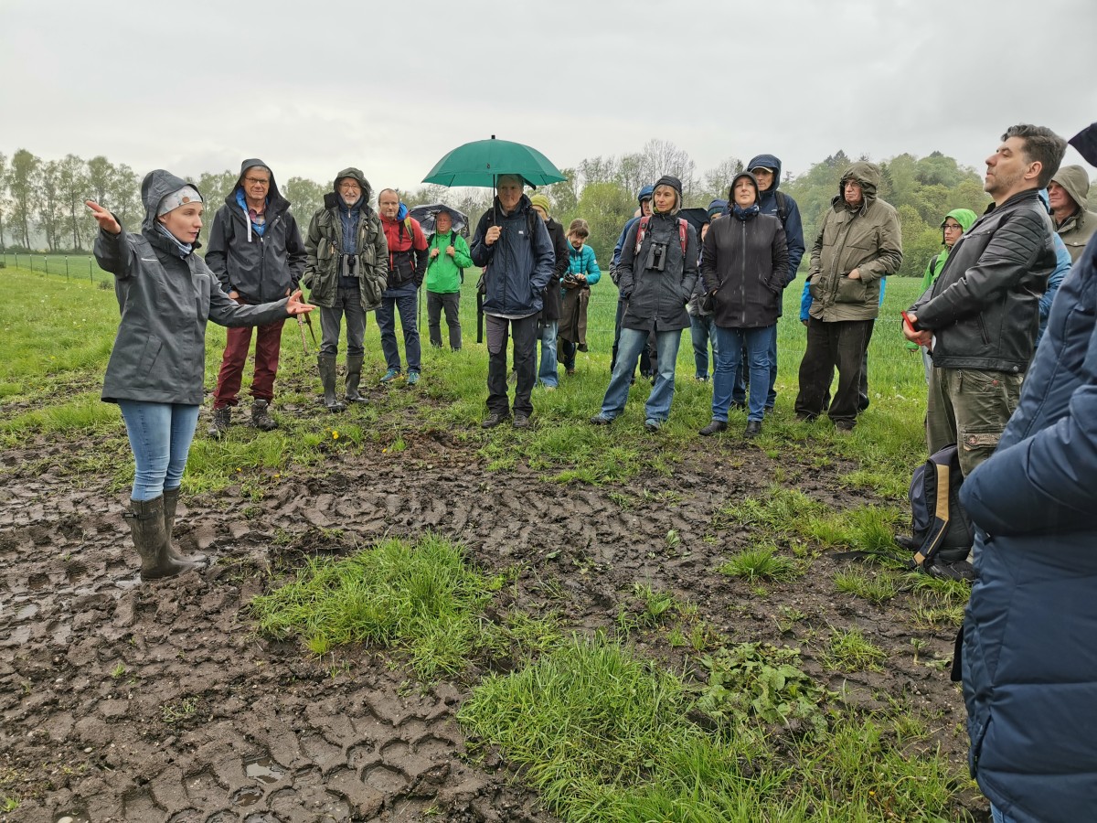 Das Foto zeigt eine Frau, die einer Gruppe von Personen etwas erklärt. Sie stehen alle auf einer Wiese.