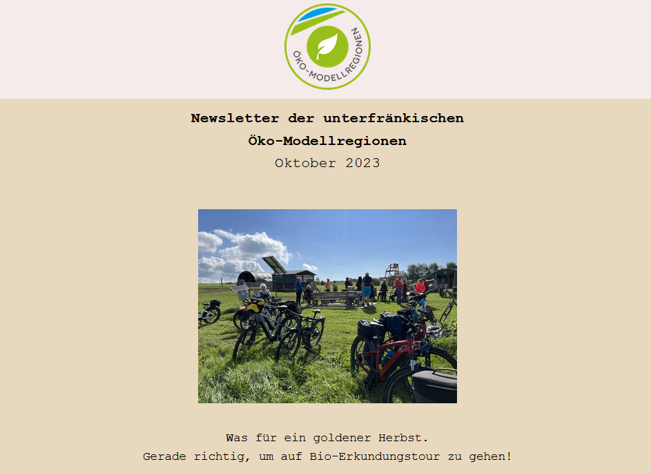 Screenshot eines Newsletterkopfes