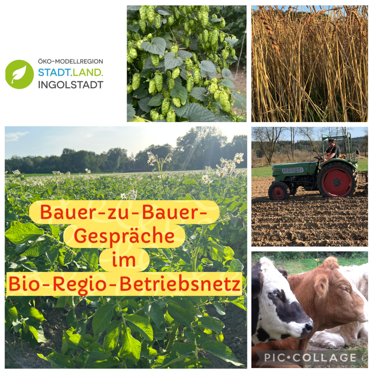 Das Bio-Regio-Betriebsnetz bietet wieder Bauer-zu-Bauer-Gespräche an (Beispielbilder)