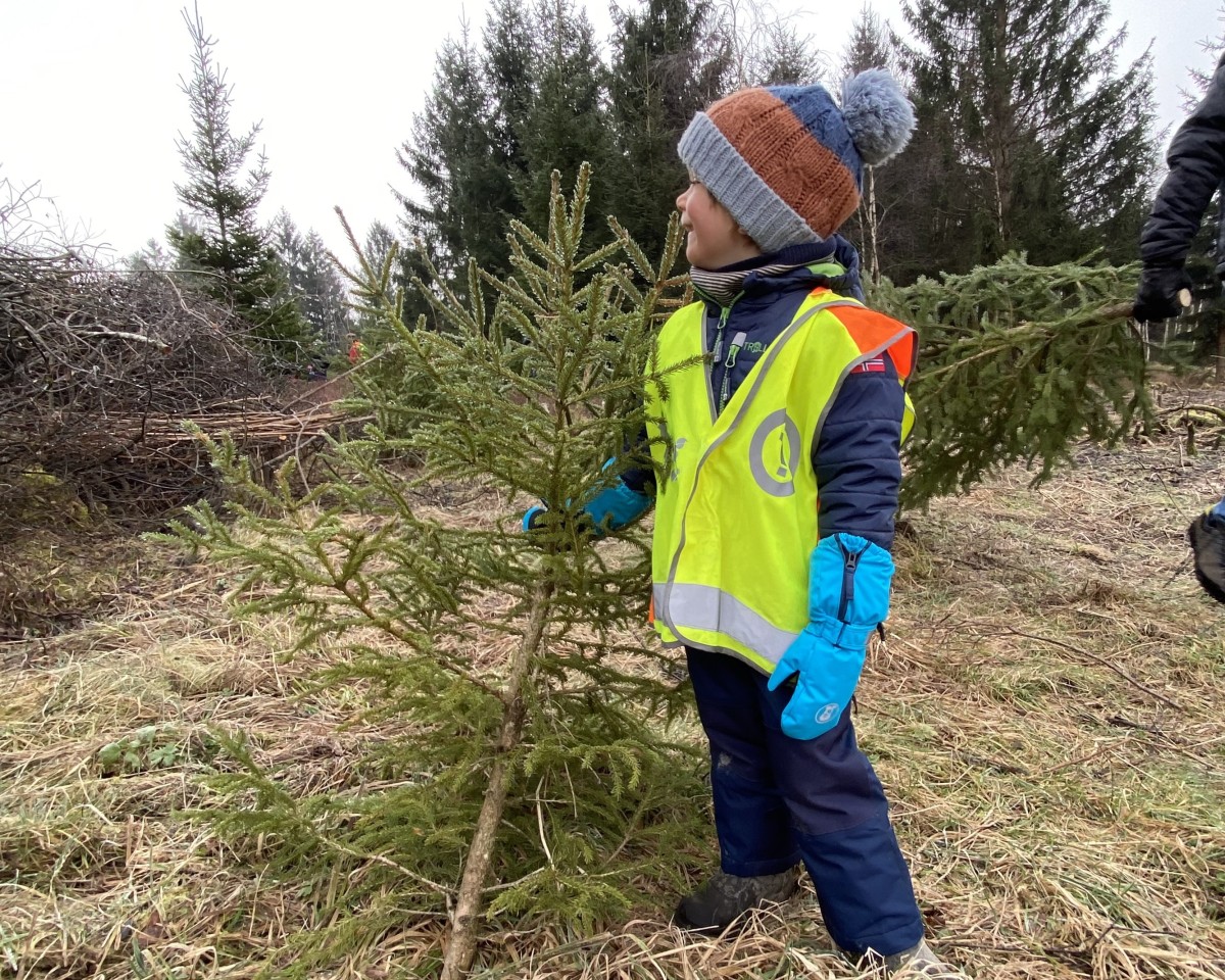 Kind mit Christbaum