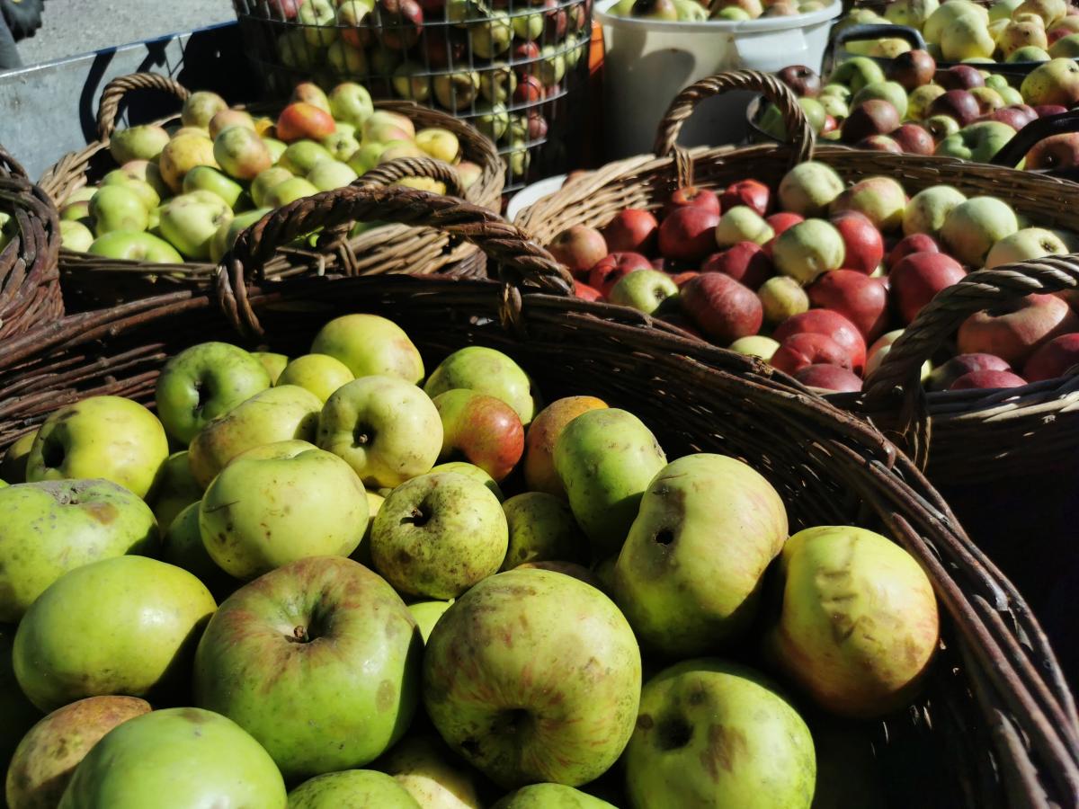 Äpfel im Korb