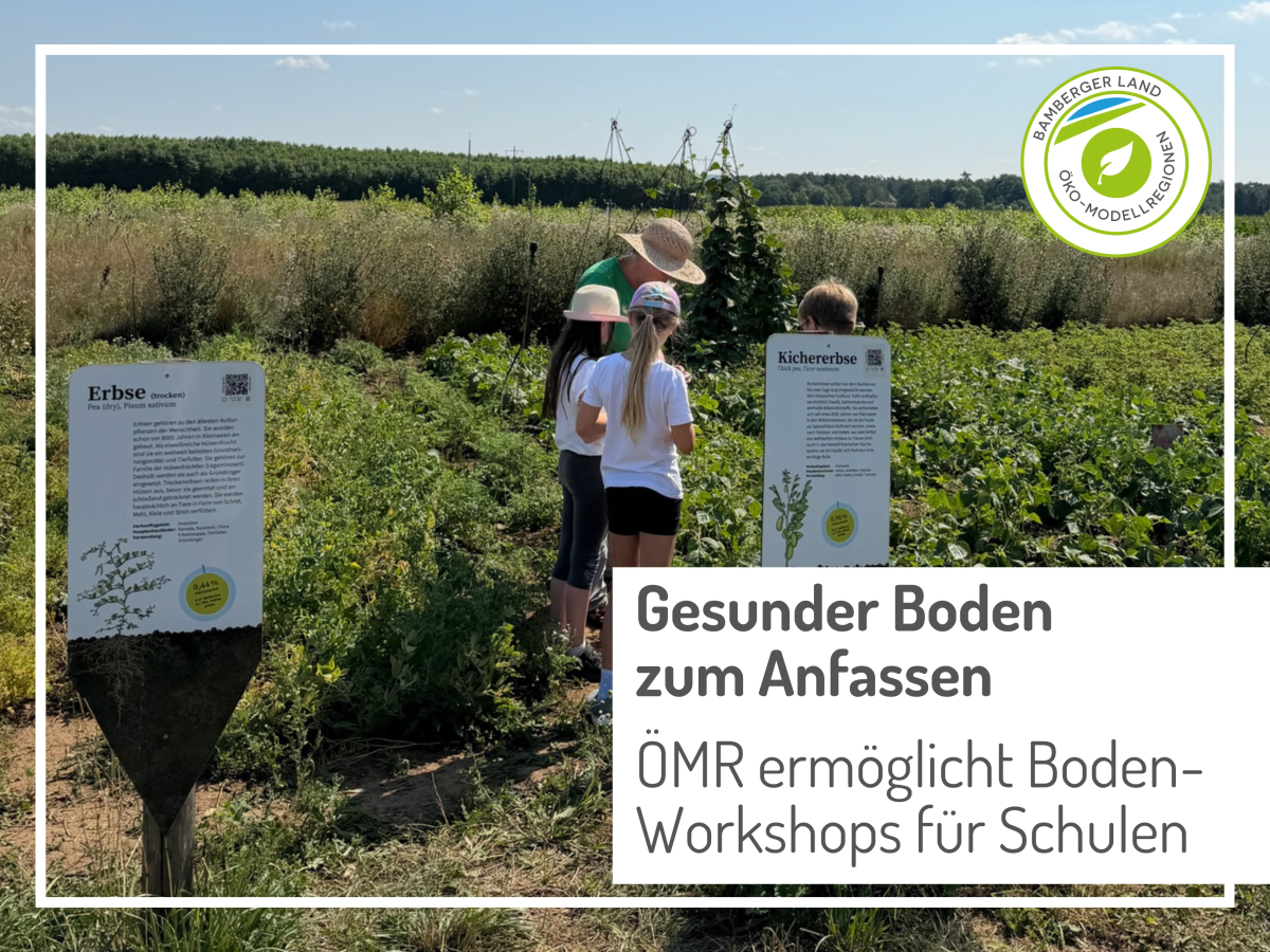 Kinder stehen auf einem Feld