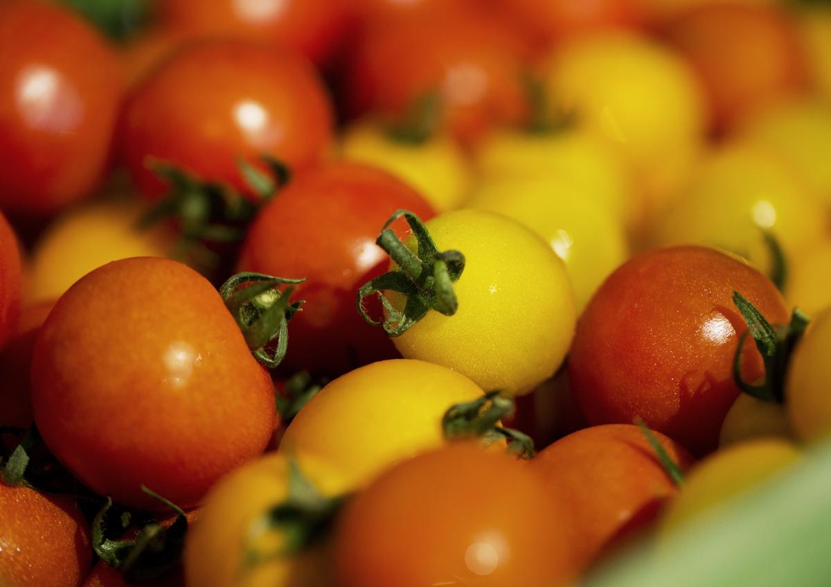 Tomatensorten