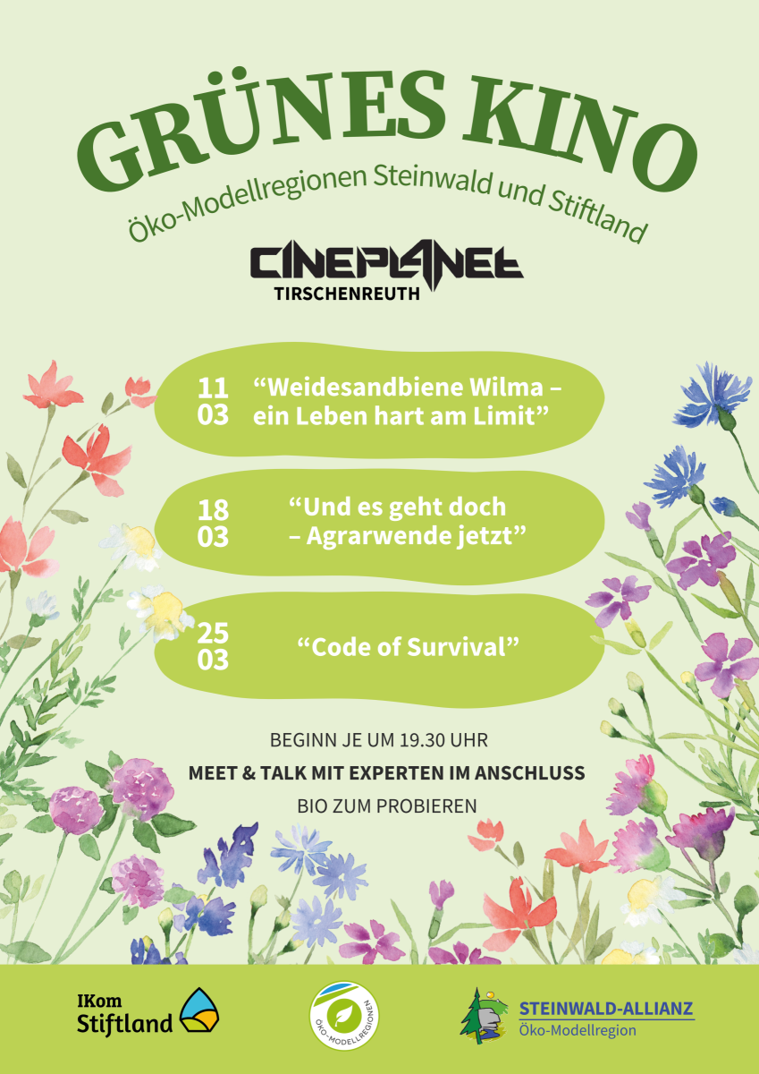 ein buntes Poster mit Schrift, welches die Filme und Daten ankündigt