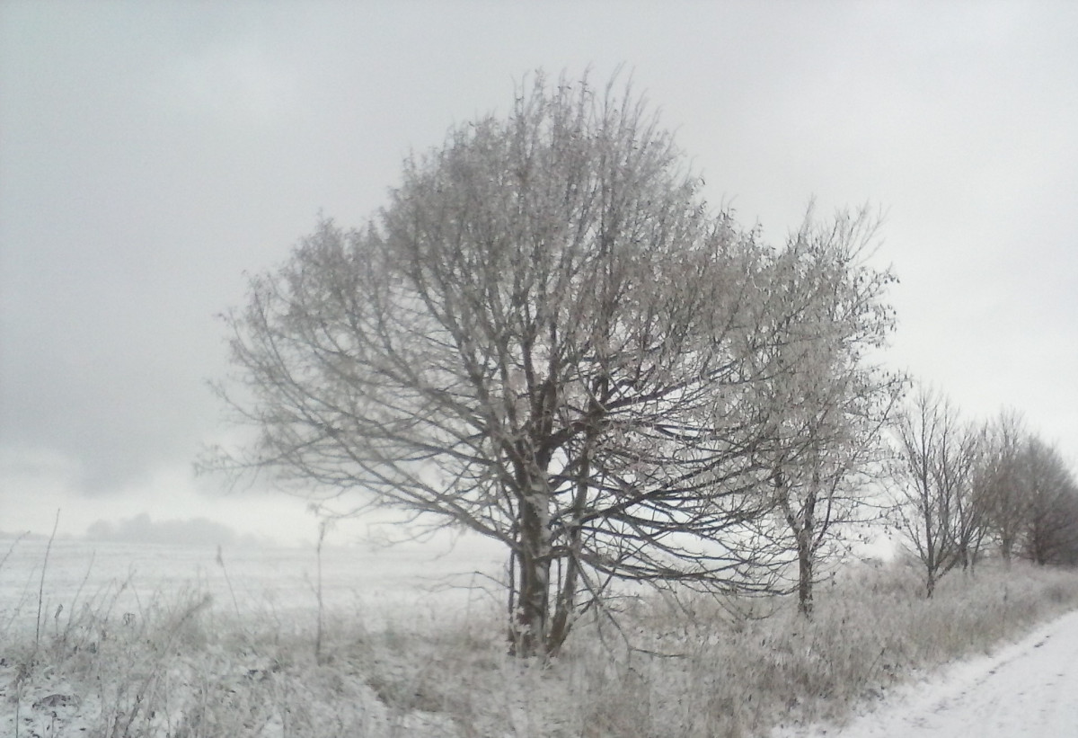 Winterweg in der bayerischen Rhön