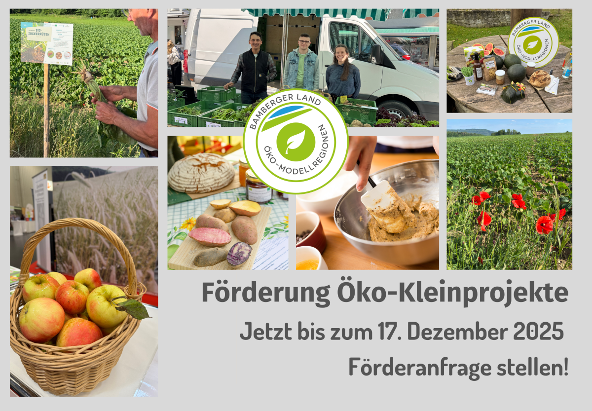 Collage verschiedener Kleinprojekte
