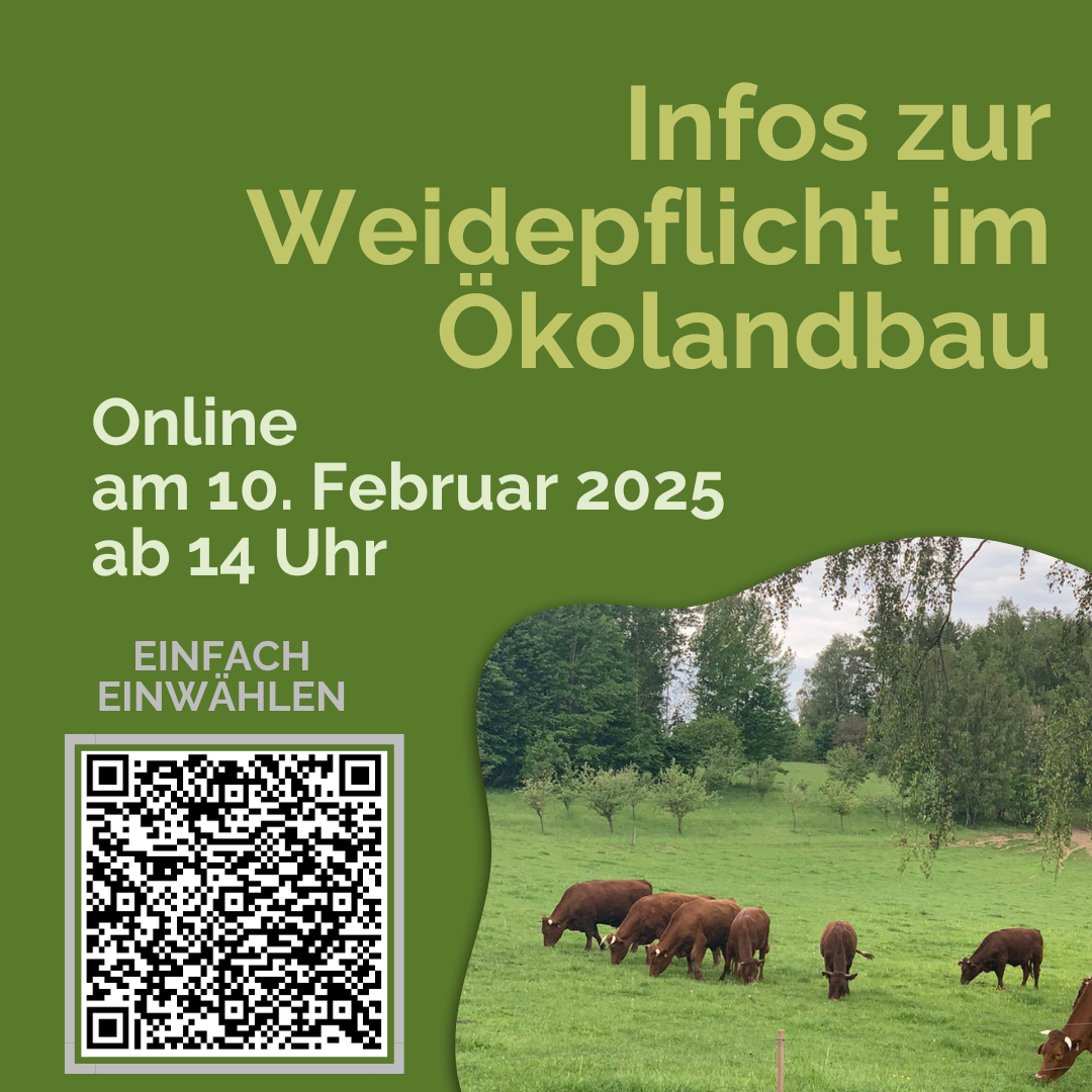 Infoveranstaltung Weidepflicht