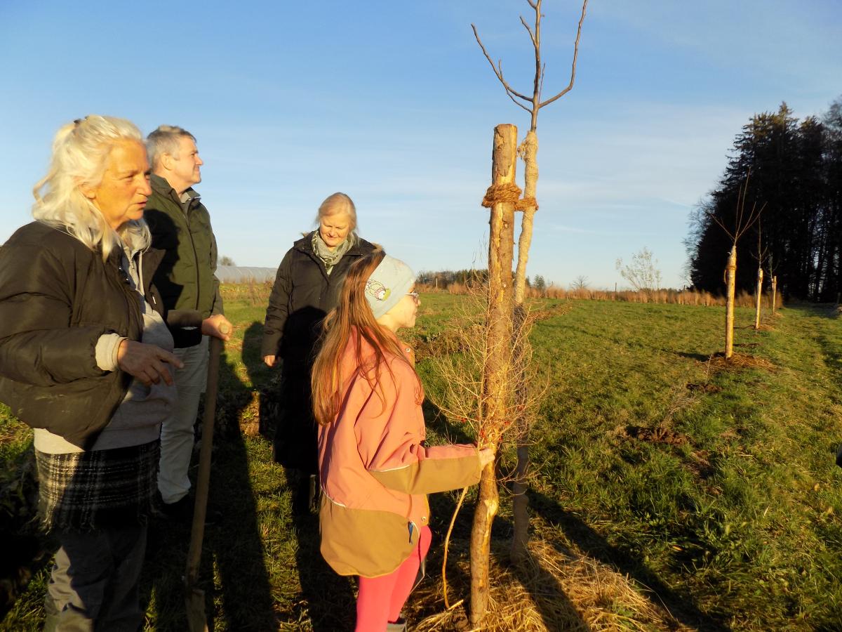 Schon öfter waren Kinder, die mithelfen wollten, zu Gast auf den Obst- und Gemüsefeldern von Kristine Rühl (links) in Tettenberg bei Otting. Das Bild entstand bei einer Baumpflanzaktion im Herbst 2024, die auch von Bürgermeister Matthias Baderhuber, einer der beiden Vorstandssprecher der Ökomodellregion Waginger See-Rupertiwinkel, und deren Managerin (Dritte von links) Marlene Berger Stöckl aufmerksam mitverfolgt wurde.